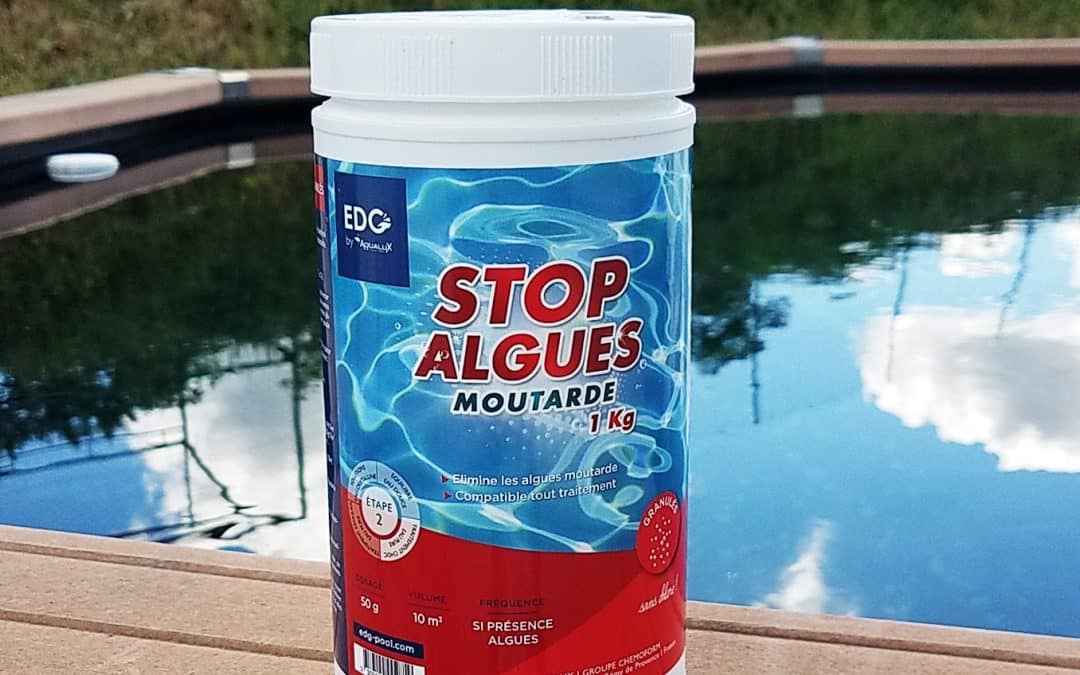 L’algue moutarde piscine, comment s’en débarrasser ?