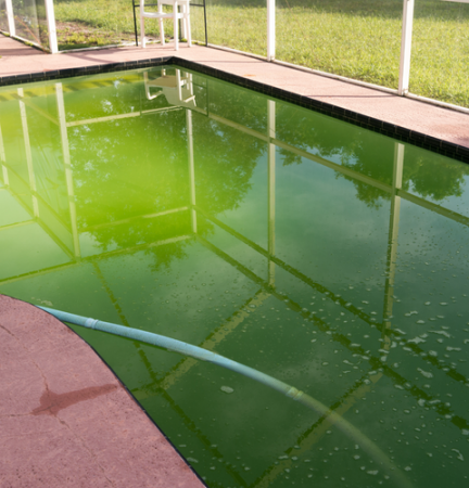 Comment traiter une piscine verte
