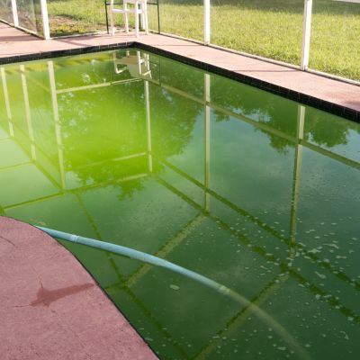 Exemple de piscine verte