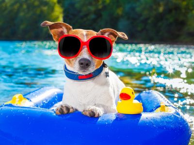 5 astuces pour le bon entretien de sa piscine l’été