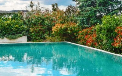 Couvercle de pompe piscine et dôme de filtre : montage et entretien