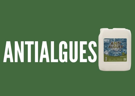 ANTIALGUES