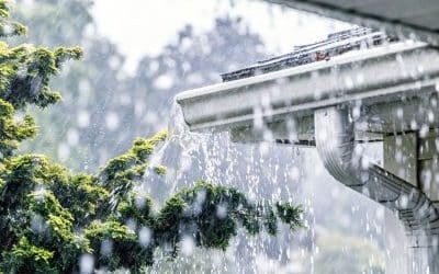 Récupérer eaux de pluie : guide complet et conseils pratiques