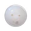 109005 Lampe Led Par56 Standard Best Price 45 Led White (6)