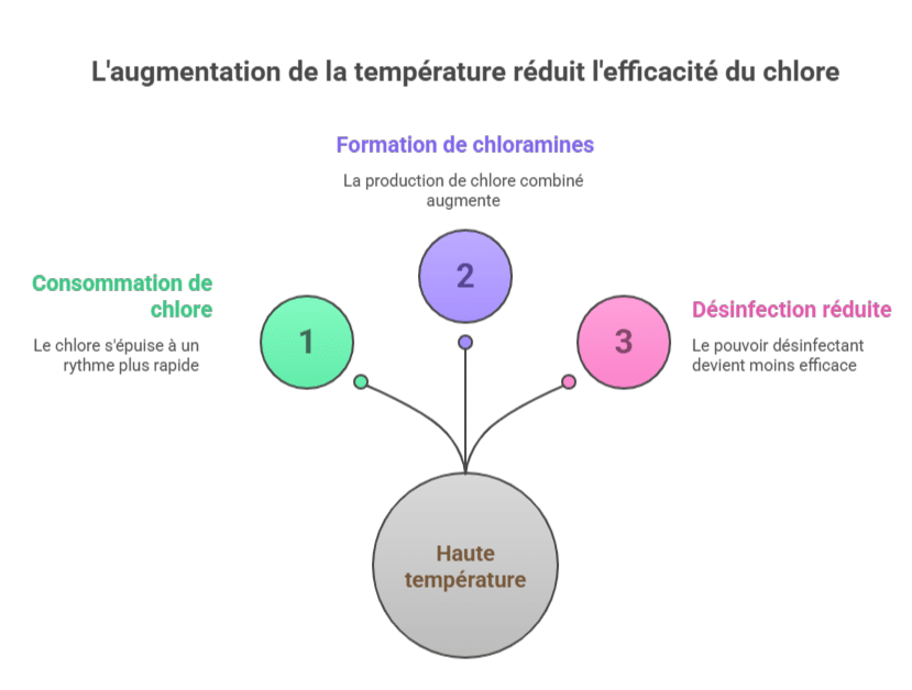 L'augmentation de la température réduit l'efficacité du chlore L'augmentation de la température réduit l'efficacité du chlore
