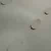 COUV HIVER 18