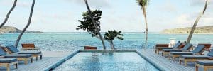 Algues moutarde en piscine : protocole de traitement et produit anti-algues EDG