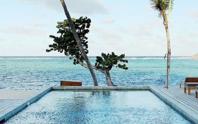 Algues moutarde en piscine : protocole de traitement et produit anti-algues EDG